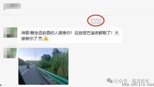 远安最新爆料事件,揭秘事件背后惊人真相